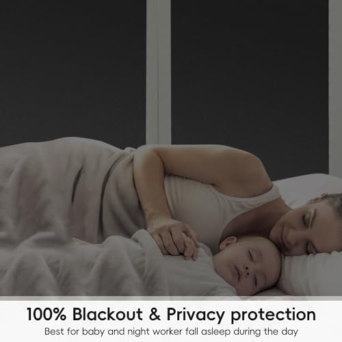 Blackout Window Privacy Film