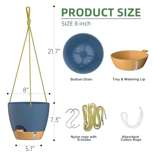 Hanging Planter 8 Inch (2 Count)
