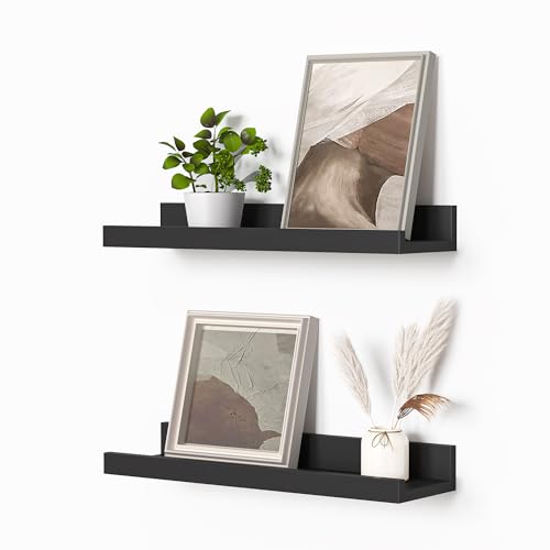 Picture Ledge Shelf (2 Count)