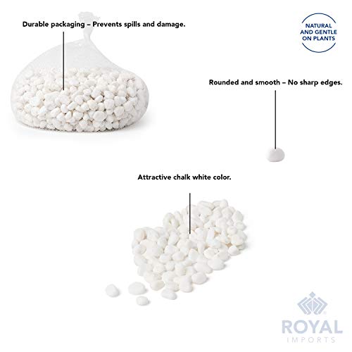 River Rocks Aquarium Gravel (80 Ounce)