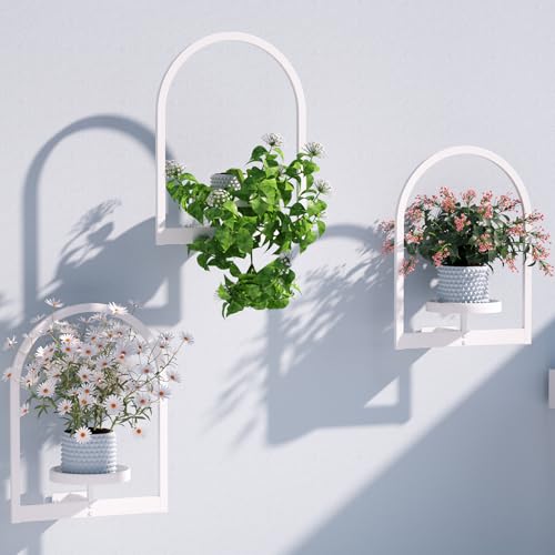 Wall Plant Holder (3 Count)