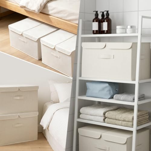 2 Pack Storage Boxes with Lids and Handles (2 Count)