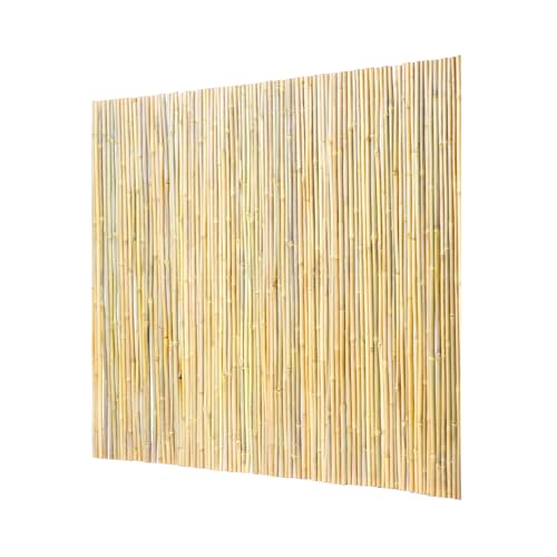 Natural Rolled Bamboo Fence (24 Sq Ft)