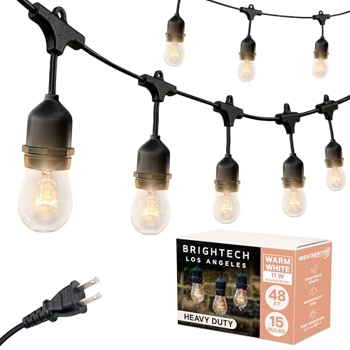 Ambience Pro Incandescent Outdoor String Lights (48 Foot)