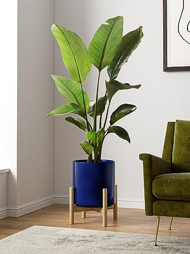12 Inch Pot for Plants