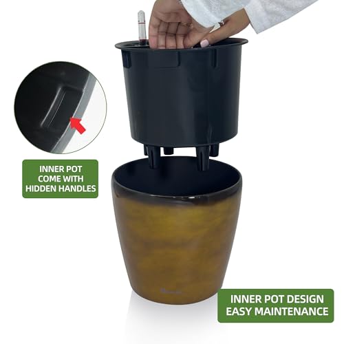 9x8 Self Watering Planter