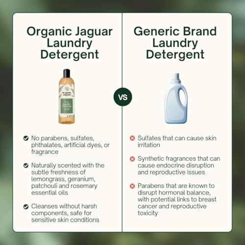 Laundry Detergent (32 Fl Oz)