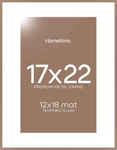 17x22 Mocha Picture Frame (2 Count)