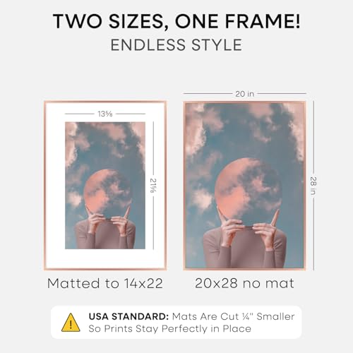 20x28 Rose Picture Frame