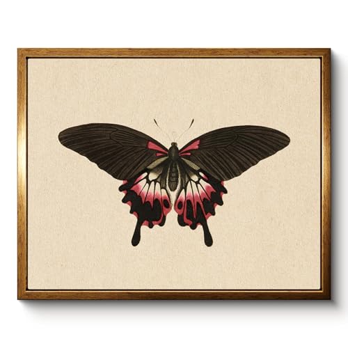 Fox Mask Lady Gothic Framed Halloween Wall Art