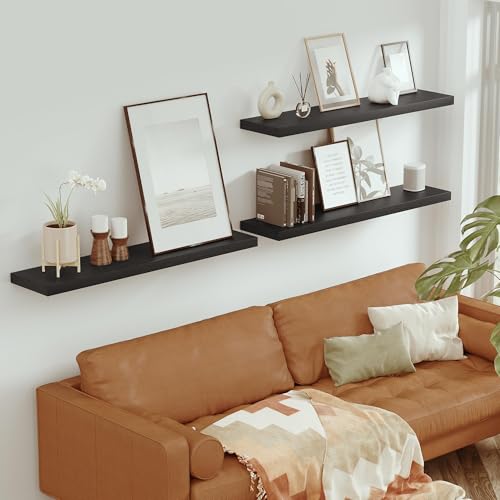 Single Floating Shelves 48x10” Set of 1