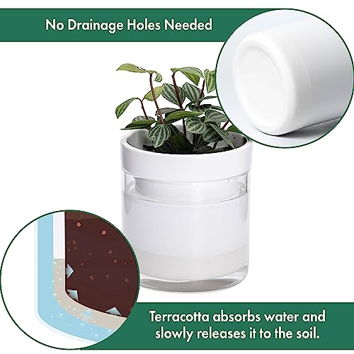 4 Inch Self Watering Planter (4 Count)