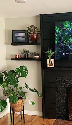 x2 24 Inch Wooden Floating Shelves for Wall