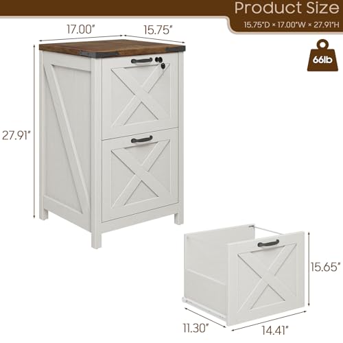 Vertical File Cabinet with 2 Drawers