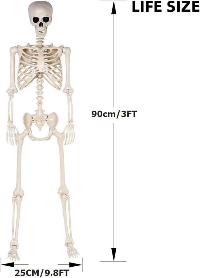 36" Halloween Skeleton