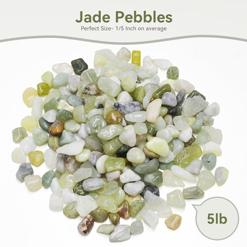 5LB Succulent and Cactus Pebbles