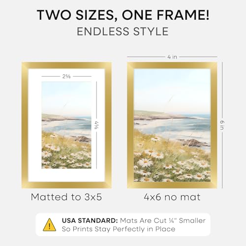 4x6 Gold Picture Frame