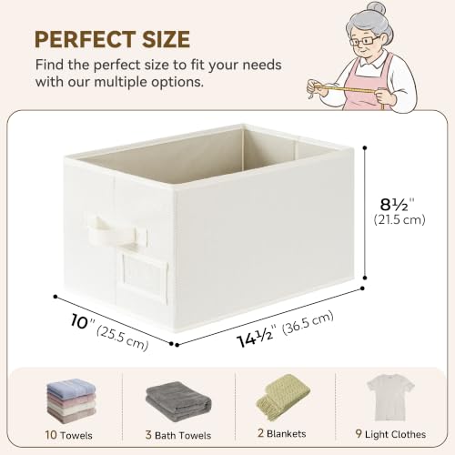 Closet Shelf Baskets with Label (3 Count)