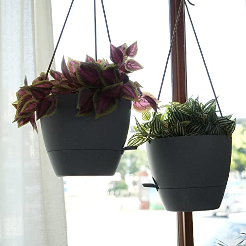 10 Inch Self Watering Hanging Pots (2 Count)