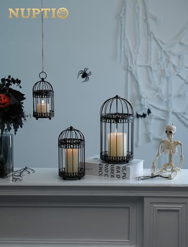 Black Decorative Bird Cage (2 Count)