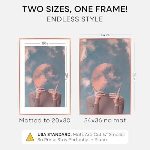 24 x 36 Poster Frame Rose Gold