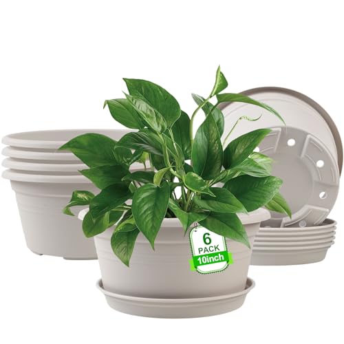 6 Pack 10 inch Plant Pot (6 Count)