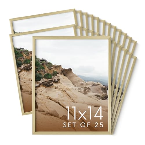 11x14 Gold Metal Picture Frames