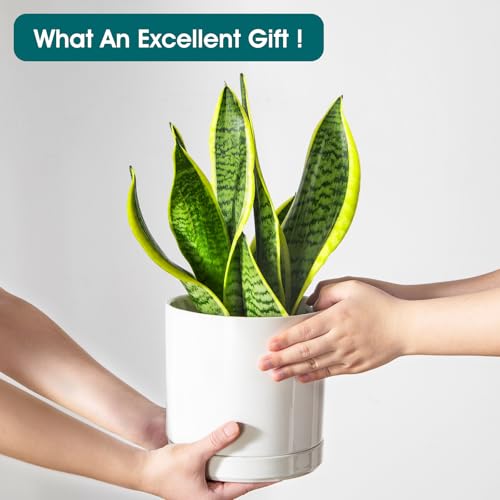 Ceramic Planters (3 Count)