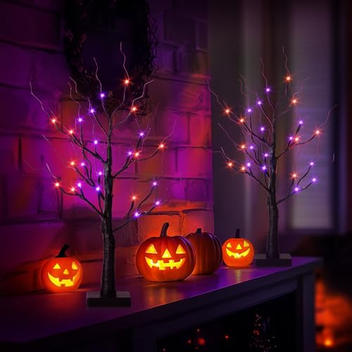 Halloween Decorations Indoor (2 Count)
