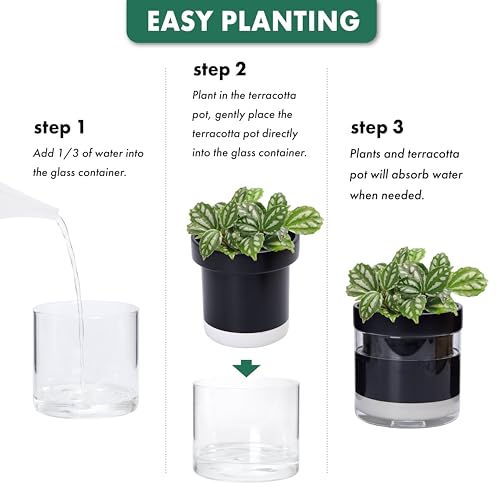 6 Inch Self Watering Planter Pot (2 Count)