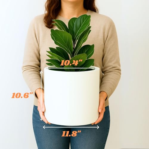 Large Planter for Indoor or Outdoor
