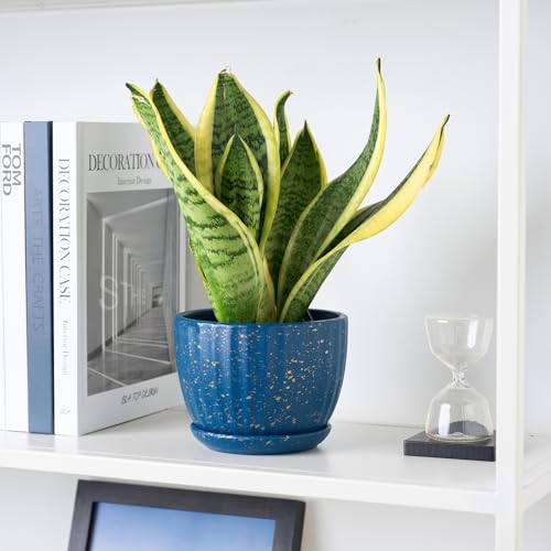 4/5/6 Inches Ceramic Plant Pots with Drainage Holes and Saucer Set of 3 (3 Count)