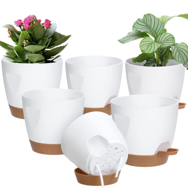 5 Pack Plant Pots with Drainage 7 (5 Count)