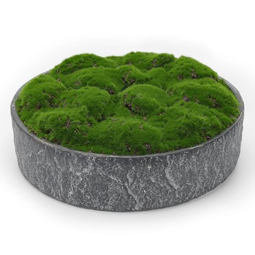 New Moss Bowl
