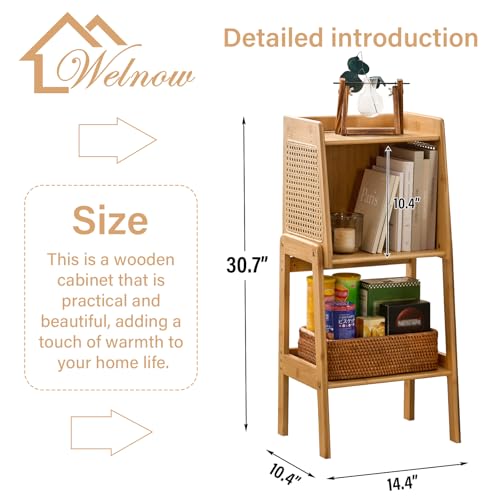 Bamboo Rattan Bookcase with Cabinet