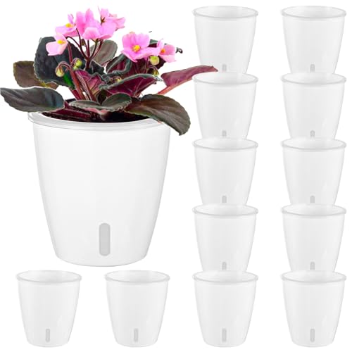 Self Watering Pots for Indoor Plants (10 Count)