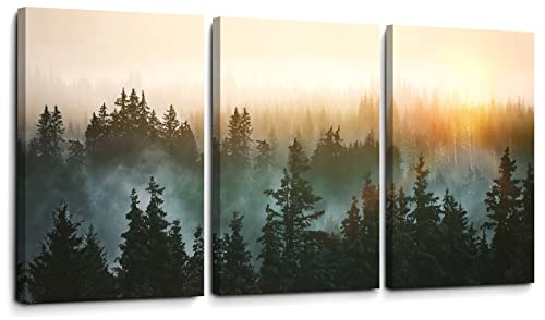 Forest Bathed in Sunlight Canvas Print Picture Painting Wall Art for Bedroom Living Room Framed 3 Piece Artwork Wall Decor for Bathroom Modern Room Plants Wall Decorations Size 16x24x3 Ready to Hang