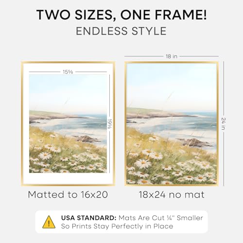 18x24 Gold Poster Frame