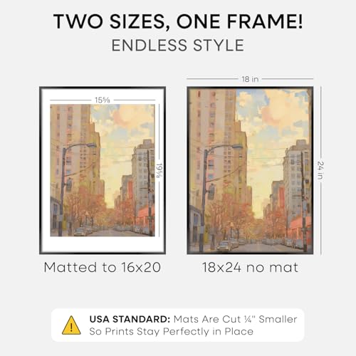 18x24 Black Poster Frame