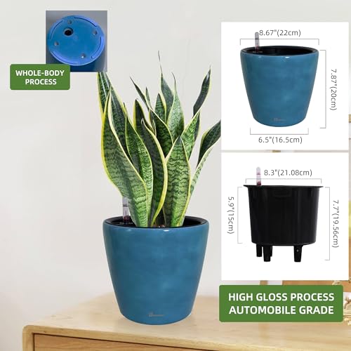 9x8 Self Watering Planter