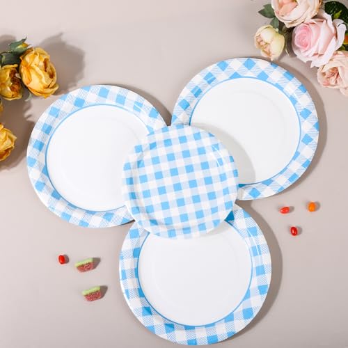 150 Pcs Light Blue Gingham Paper Plates and Napkins (150 Count)