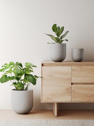 10 Inch Plant Pot