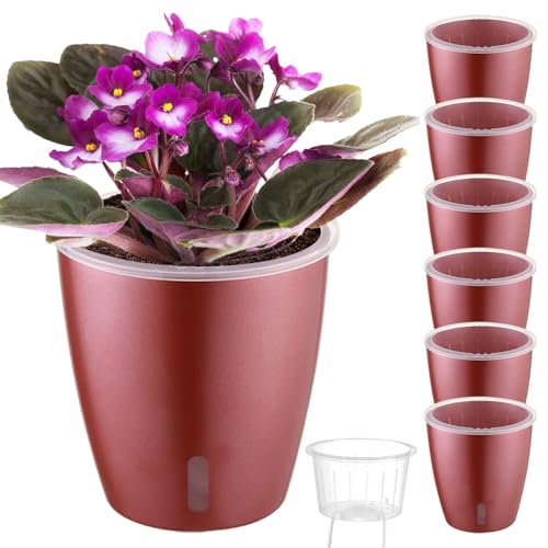 Self Watering Pots for Indoor Plants (6 Count)