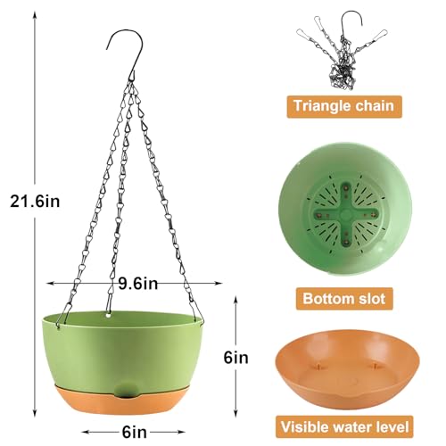 Hanging Planters (3 Count)