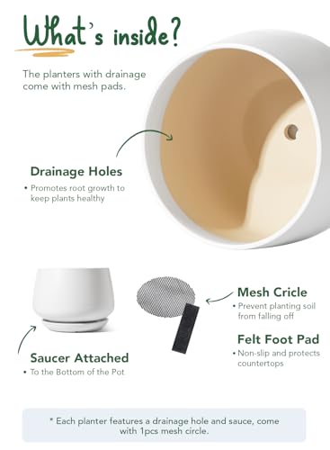 Ceramic Planter
