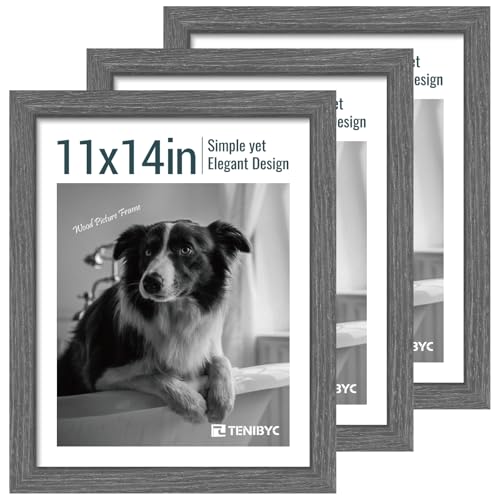 11x14 Picture Frame 3 Pack (3 Count)