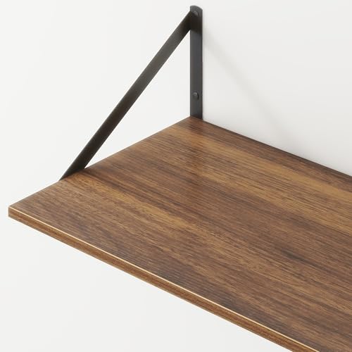 20 Inch Floating Shelves (2 Count)