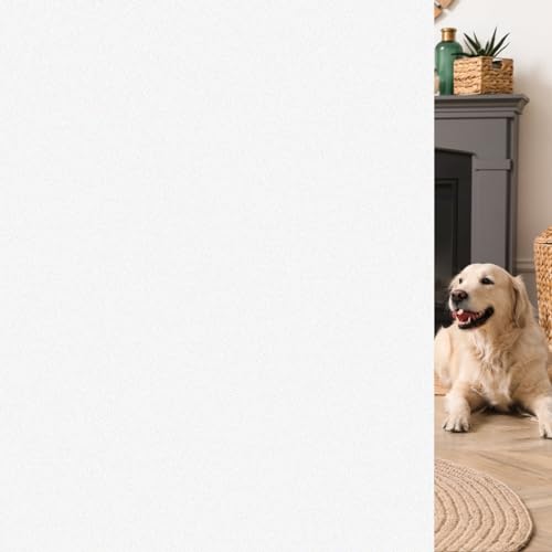 Frosted Window Privacy Film (19.3471 Sq Ft)