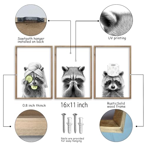 Raccoon Bathroom Wall Decor Art 16x11 Inch Set of 3 Wood