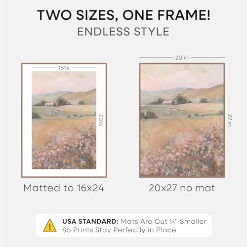 20x27 Mocha Picture Frame